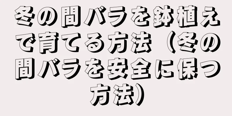 冬の間バラを鉢植えで育てる方法（冬の間バラを安全に保つ方法）
