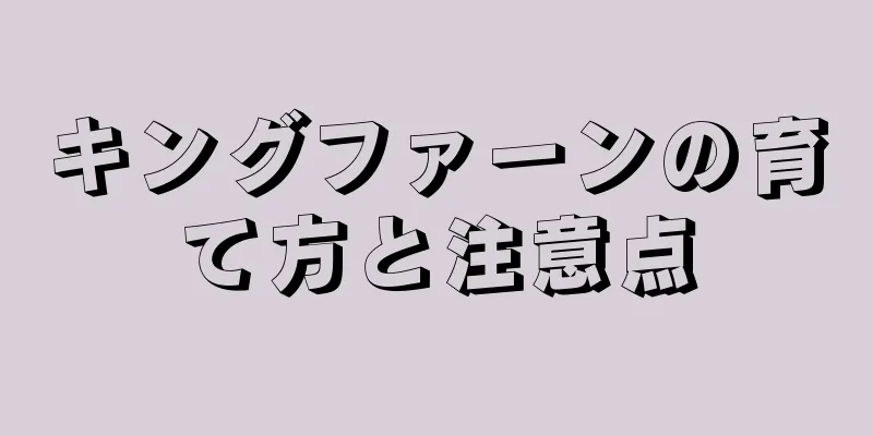 キングファーンの育て方と注意点