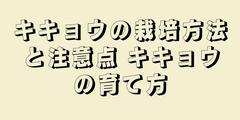 キキョウの栽培方法と注意点 キキョウの育て方