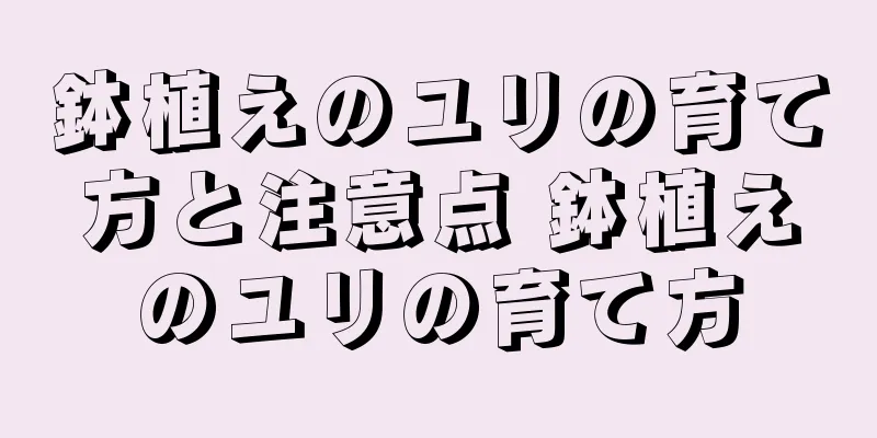 鉢植えのユリの育て方と注意点 鉢植えのユリの育て方