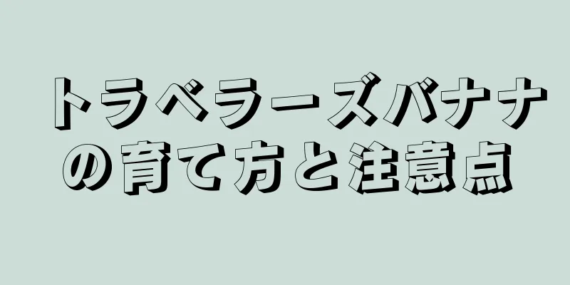 トラベラーズバナナの育て方と注意点