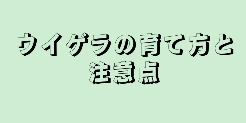 ウイゲラの育て方と注意点