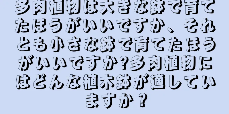 多肉植物は大きな鉢で育てたほうがいいですか、それとも小さな鉢で育てたほうがいいですか?多肉植物にはどんな植木鉢が適していますか？
