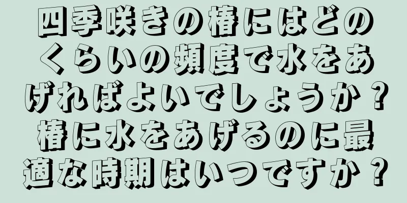 四季咲きの椿にはどのくらいの頻度で水をあげればよいでしょうか？椿に水をあげるのに最適な時期はいつですか？