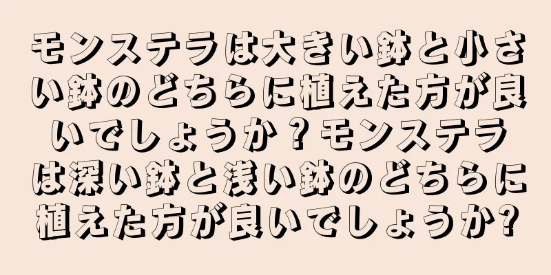 モンステラは大きい鉢と小さい鉢のどちらに植えた方が良いでしょうか？モンステラは深い鉢と浅い鉢のどちらに植えた方が良いでしょうか?