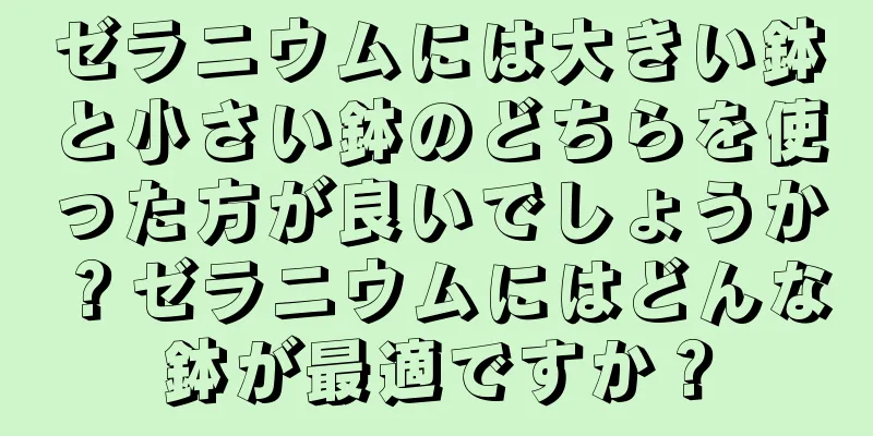 ゼラニウムには大きい鉢と小さい鉢のどちらを使った方が良いでしょうか？ゼラニウムにはどんな鉢が最適ですか？
