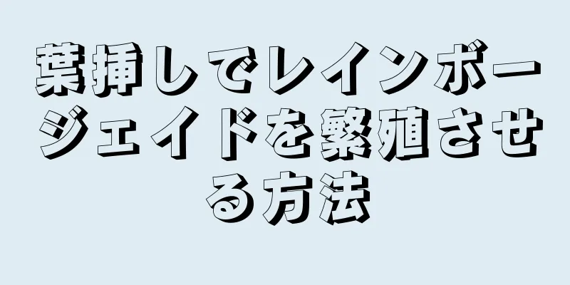 葉挿しでレインボージェイドを繁殖させる方法