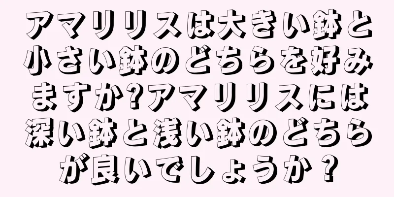 アマリリスは大きい鉢と小さい鉢のどちらを好みますか?アマリリスには深い鉢と浅い鉢のどちらが良いでしょうか？