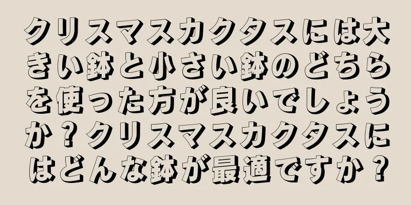 クリスマスカクタスには大きい鉢と小さい鉢のどちらを使った方が良いでしょうか？クリスマスカクタスにはどんな鉢が最適ですか？