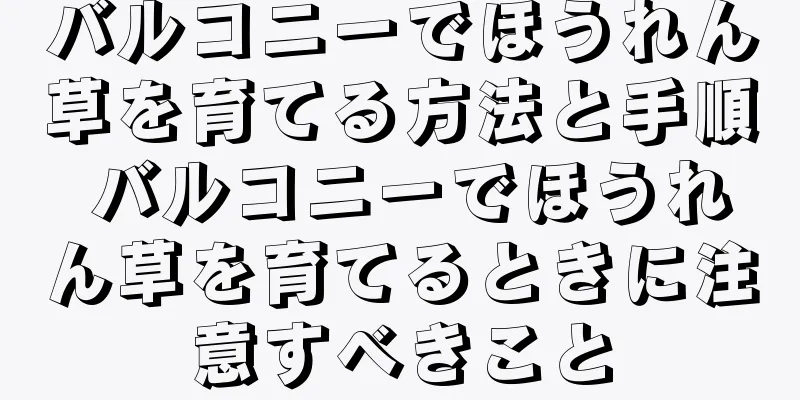 バルコニーでほうれん草を育てる方法と手順 バルコニーでほうれん草を育てるときに注意すべきこと