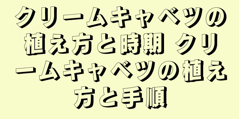 クリームキャベツの植え方と時期 クリームキャベツの植え方と手順