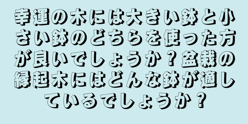 幸運の木には大きい鉢と小さい鉢のどちらを使った方が良いでしょうか？盆栽の縁起木にはどんな鉢が適しているでしょうか？