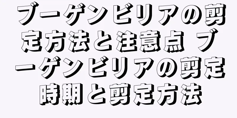 ブーゲンビリアの剪定方法と注意点 ブーゲンビリアの剪定時期と剪定方法