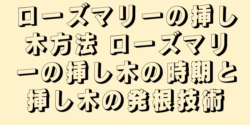 ローズマリーの挿し木方法 ローズマリーの挿し木の時期と挿し木の発根技術