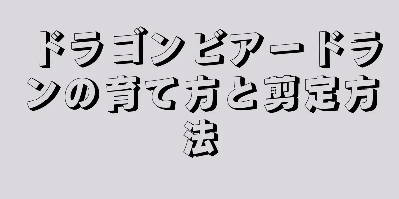 ドラゴンビアードランの育て方と剪定方法
