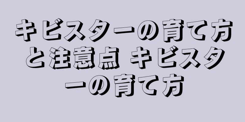 キビスターの育て方と注意点 キビスターの育て方