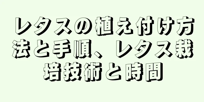 レタスの植え付け方法と手順、レタス栽培技術と時間
