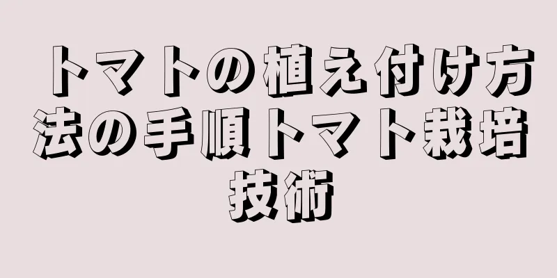トマトの植え付け方法の手順トマト栽培技術