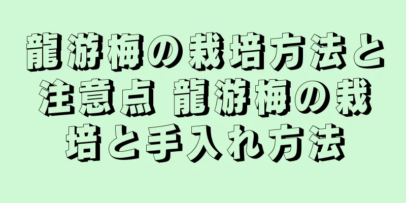 龍游梅の栽培方法と注意点 龍游梅の栽培と手入れ方法