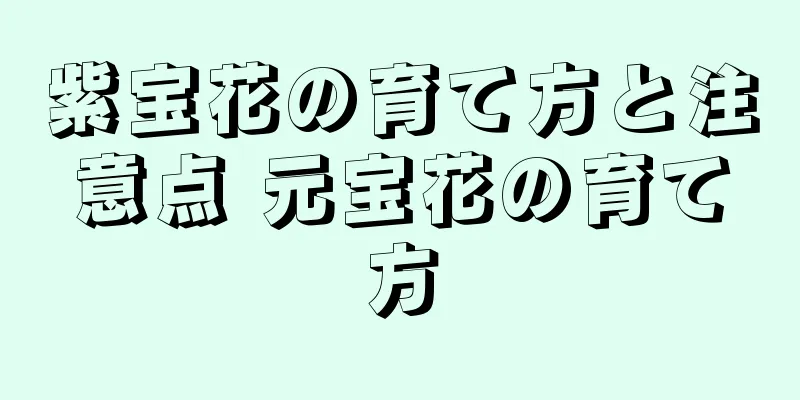 紫宝花の育て方と注意点 元宝花の育て方
