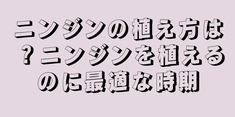 ニンジンの植え方は？ニンジンを植えるのに最適な時期
