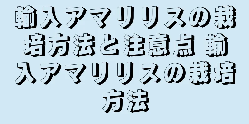 輸入アマリリスの栽培方法と注意点 輸入アマリリスの栽培方法
