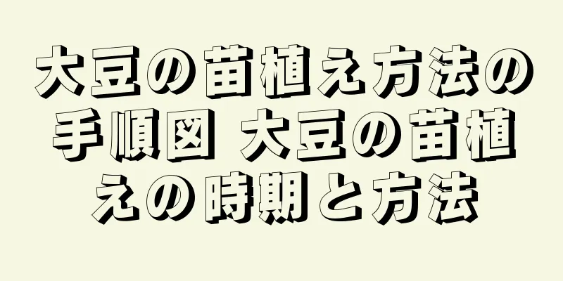 大豆の苗植え方法の手順図 大豆の苗植えの時期と方法