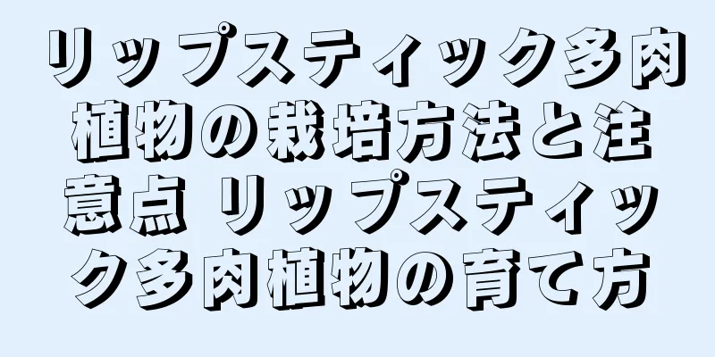 リップスティック多肉植物の栽培方法と注意点 リップスティック多肉植物の育て方