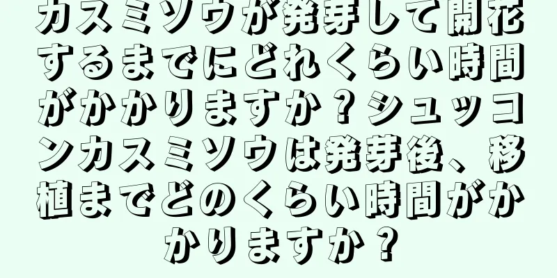 カスミソウが発芽して開花するまでにどれくらい時間がかかりますか？シュッコンカスミソウは発芽後、移植までどのくらい時間がかかりますか？