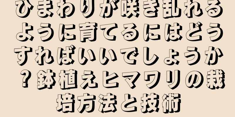 ひまわりが咲き乱れるように育てるにはどうすればいいでしょうか？鉢植えヒマワリの栽培方法と技術