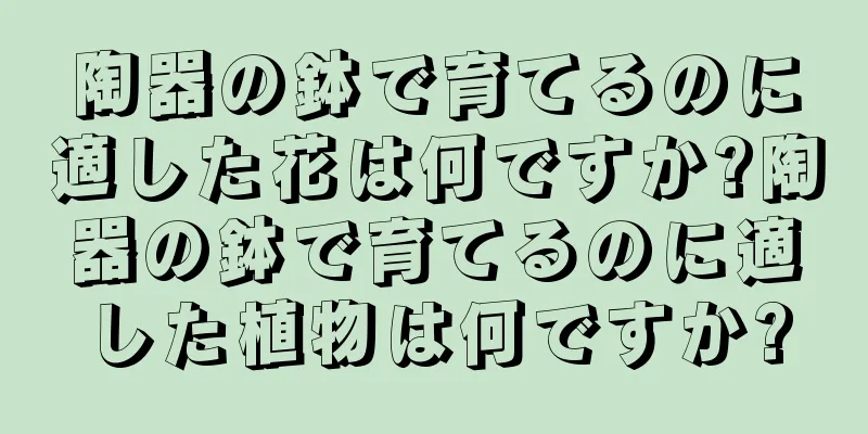 陶器の鉢で育てるのに適した花は何ですか?陶器の鉢で育てるのに適した植物は何ですか?