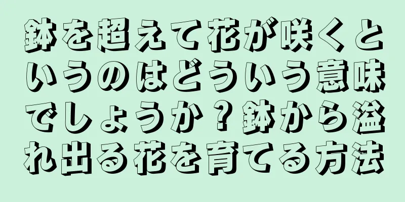鉢を超えて花が咲くというのはどういう意味でしょうか？鉢から溢れ出る花を育てる方法