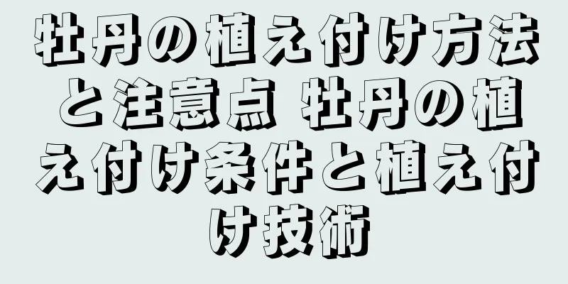 牡丹の植え付け方法と注意点 牡丹の植え付け条件と植え付け技術