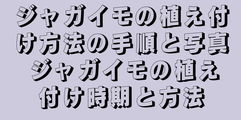 ジャガイモの植え付け方法の手順と写真 ジャガイモの植え付け時期と方法