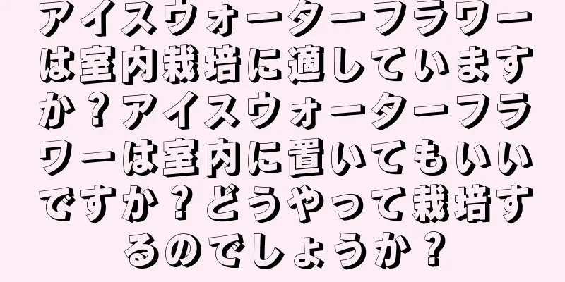 アイスウォーターフラワーは室内栽培に適していますか？アイスウォーターフラワーは室内に置いてもいいですか？どうやって栽培するのでしょうか？