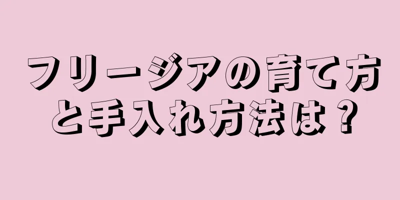 フリージアの育て方と手入れ方法は？