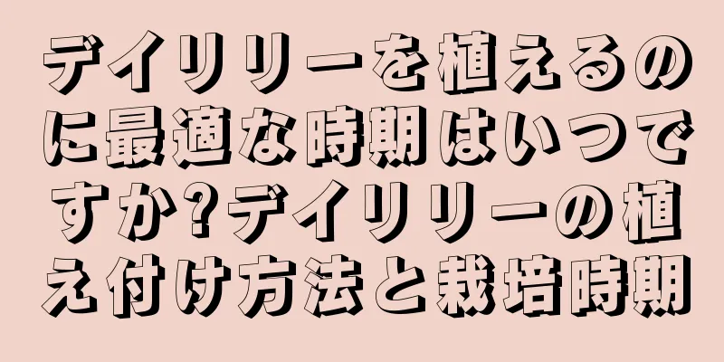 デイリリーを植えるのに最適な時期はいつですか?デイリリーの植え付け方法と栽培時期