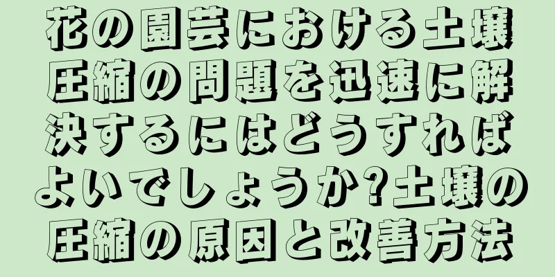 花の園芸における土壌圧縮の問題を迅速に解決するにはどうすればよいでしょうか?土壌の圧縮の原因と改善方法