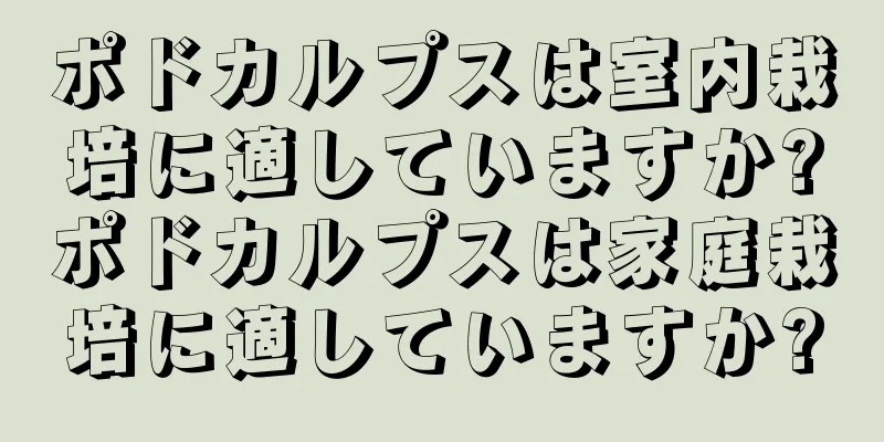 ポドカルプスは室内栽培に適していますか?ポドカルプスは家庭栽培に適していますか?