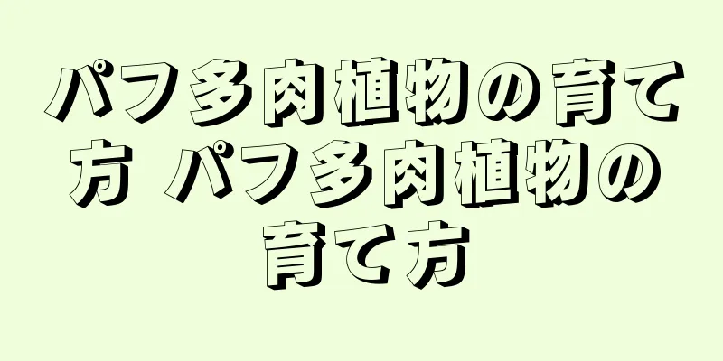 パフ多肉植物の育て方 パフ多肉植物の育て方