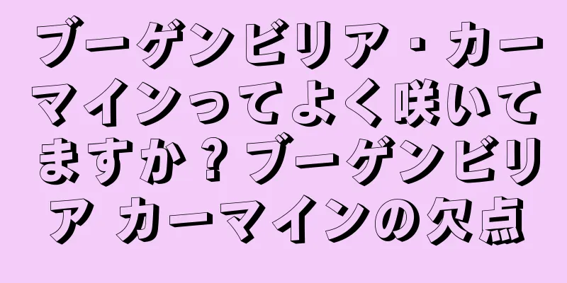 ブーゲンビリア・カーマインってよく咲いてますか？ブーゲンビリア カーマインの欠点