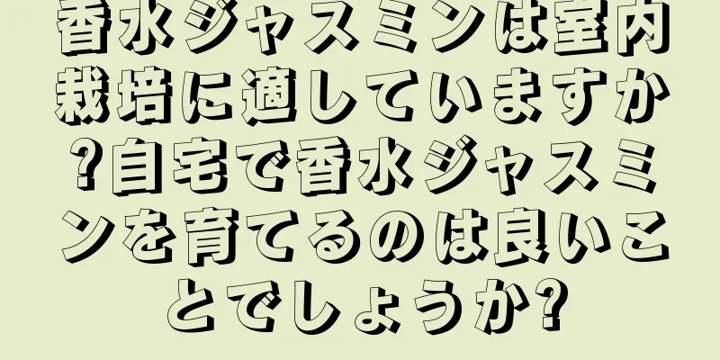 香水ジャスミンは室内栽培に適していますか?自宅で香水ジャスミンを育てるのは良いことでしょうか?