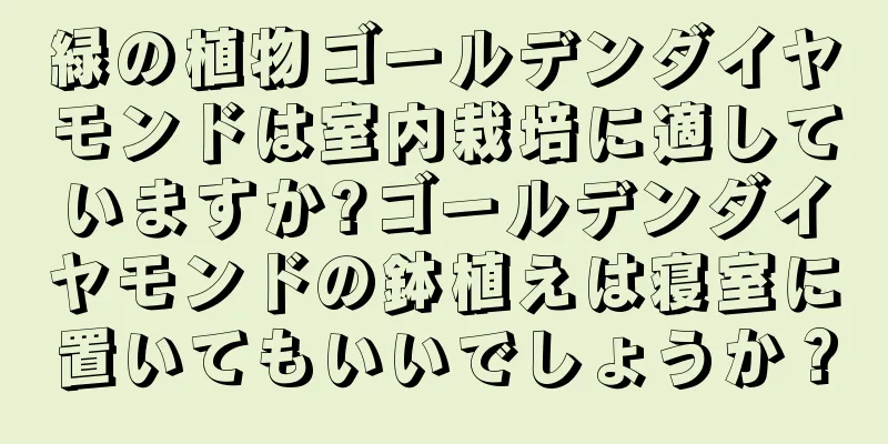 緑の植物ゴールデンダイヤモンドは室内栽培に適していますか?ゴールデンダイヤモンドの鉢植えは寝室に置いてもいいでしょうか？