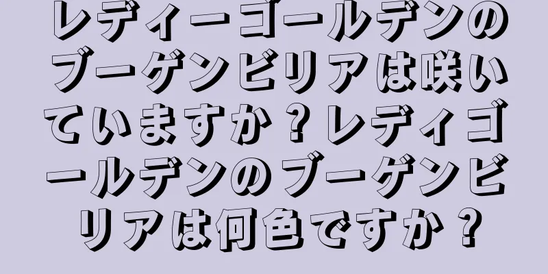 レディーゴールデンのブーゲンビリアは咲いていますか？レディゴールデンのブーゲンビリアは何色ですか？