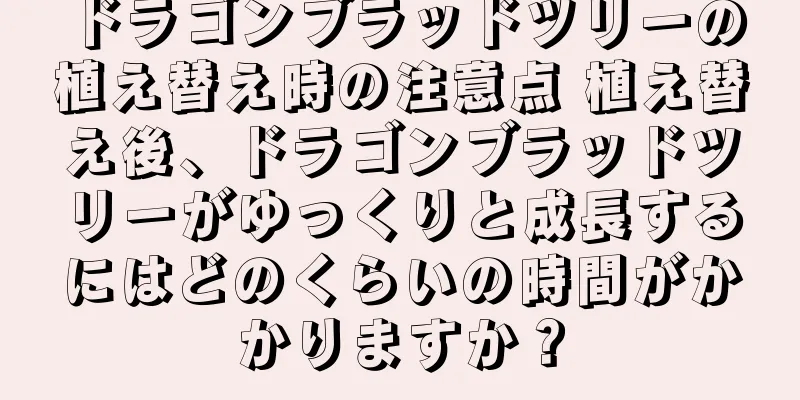 ドラゴンブラッドツリーの植え替え時の注意点 植え替え後、ドラゴンブラッドツリーがゆっくりと成長するにはどのくらいの時間がかかりますか？
