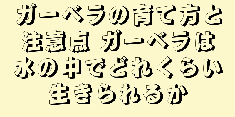 ガーベラの育て方と注意点 ガーベラは水の中でどれくらい生きられるか