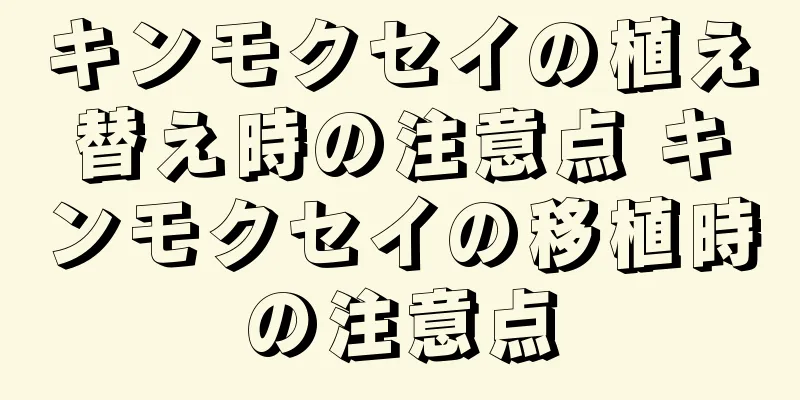 キンモクセイの植え替え時の注意点 キンモクセイの移植時の注意点