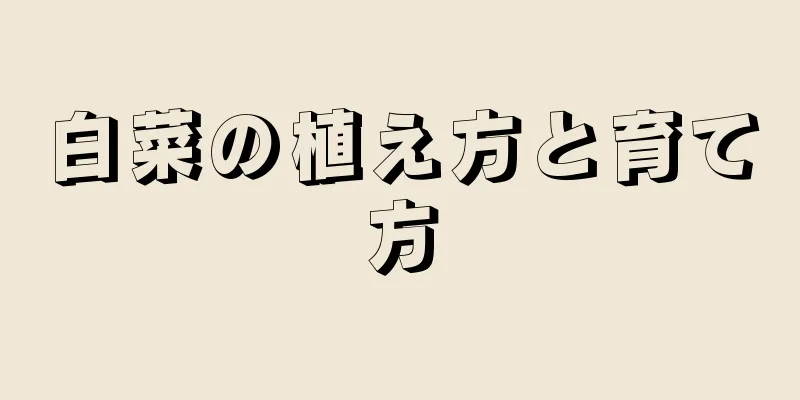 白菜の植え方と育て方