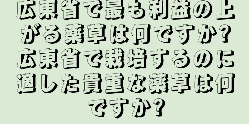 広東省で最も利益の上がる薬草は何ですか?広東省で栽培するのに適した貴重な薬草は何ですか?