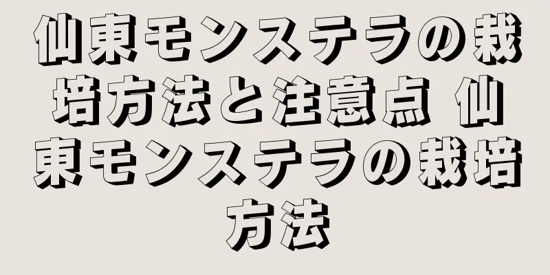 仙東モンステラの栽培方法と注意点 仙東モンステラの栽培方法